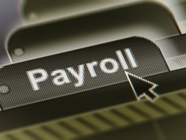 A payroll software file.